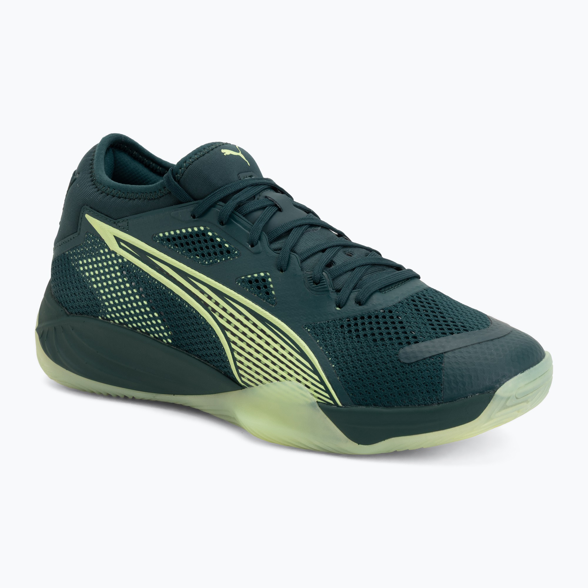 Обувки за хандбал PUMA Eliminate NITRO SQD 4 green