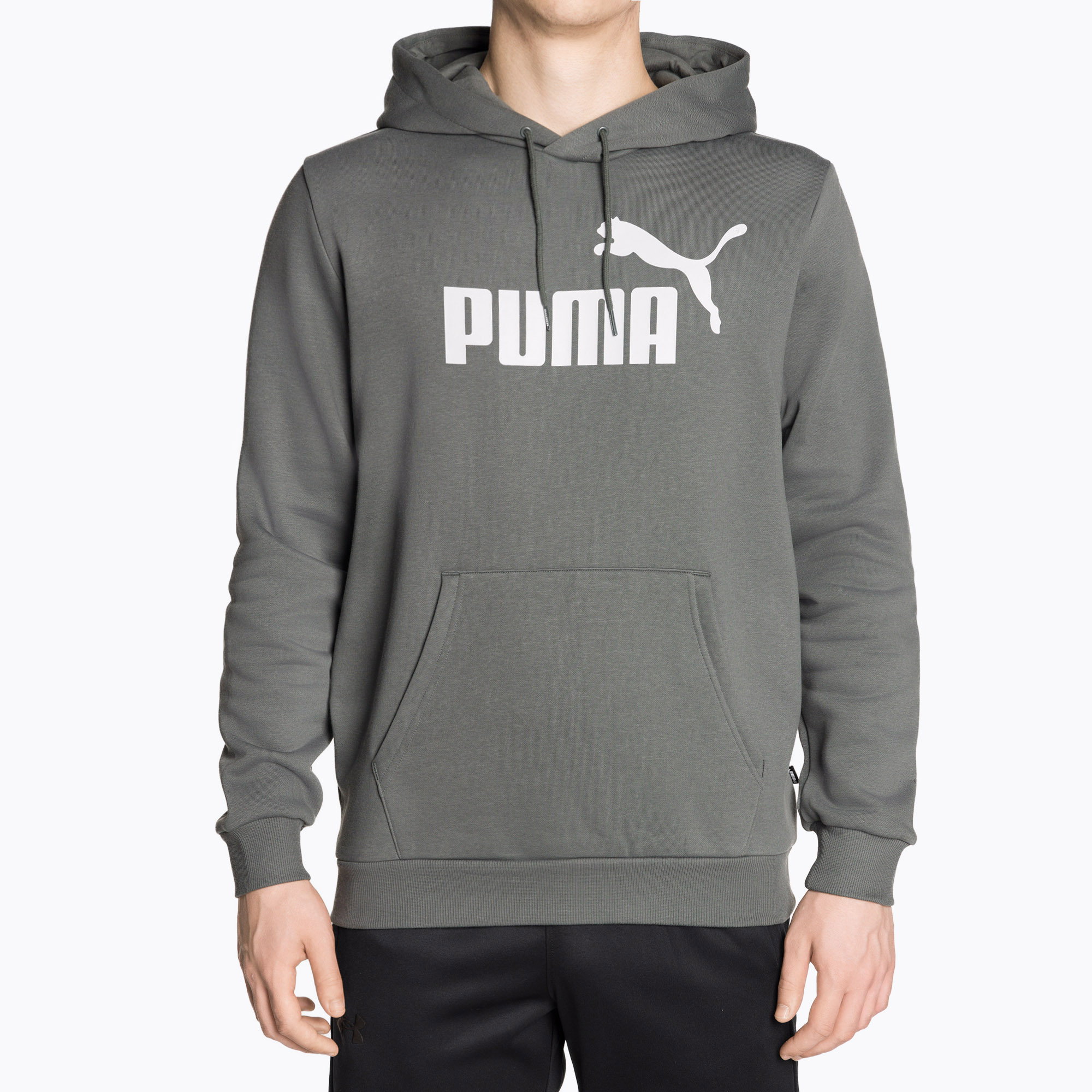 Bluza męska PUMA Essentials Big Logo Hoodie FL mineral gray 