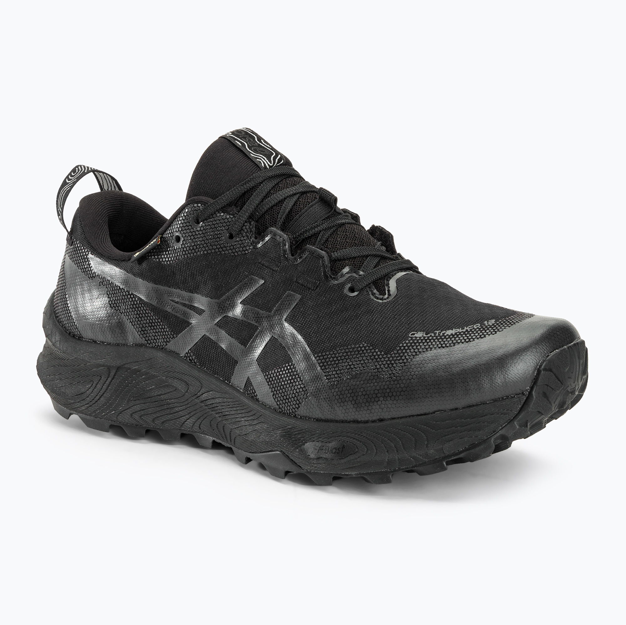 Buty do biegania męskie ASICS Gel-Trabuco 12 GTX black/graphite grey 