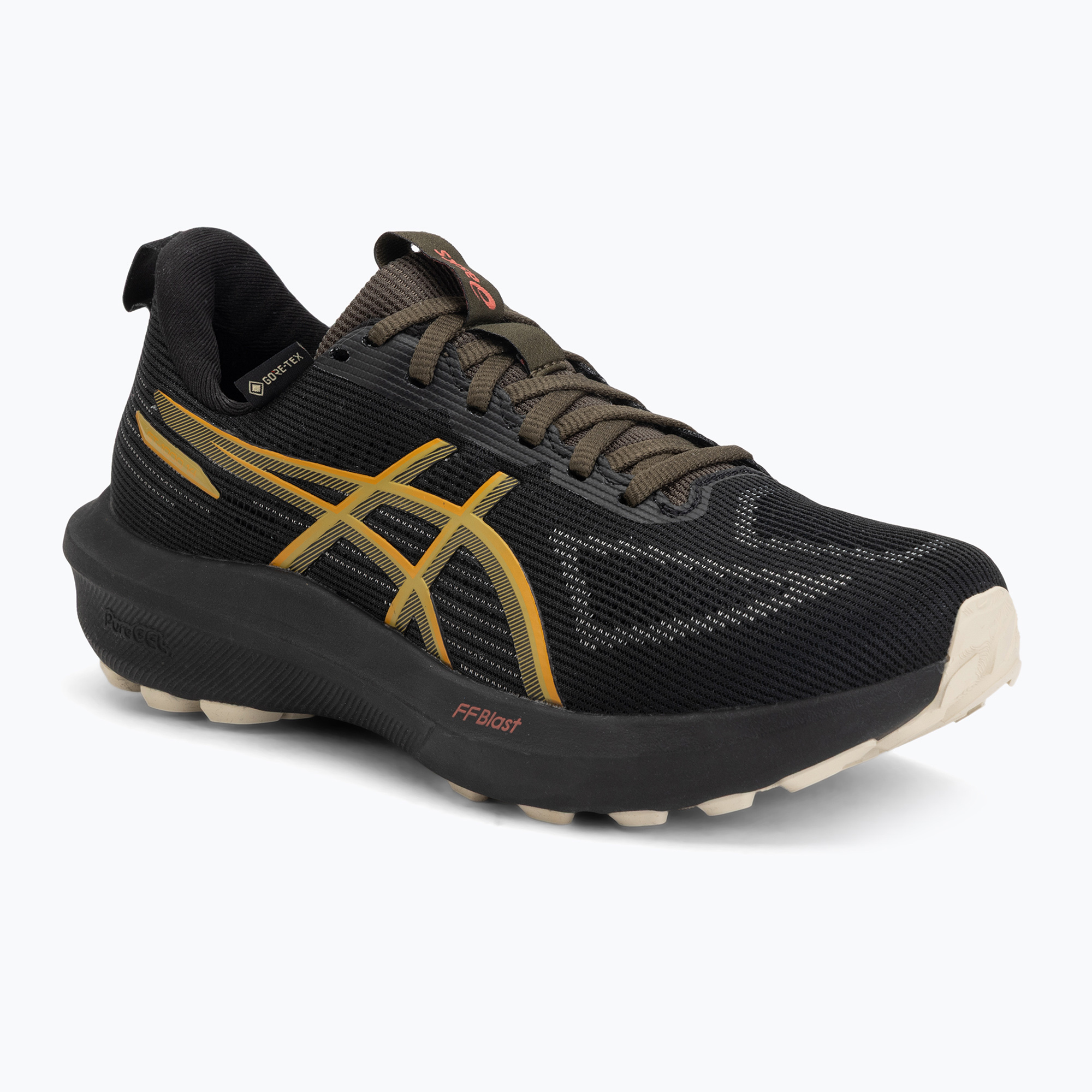 Buty do biegania męskie ASICS GT-1000 14 GTX black/sandstorm 