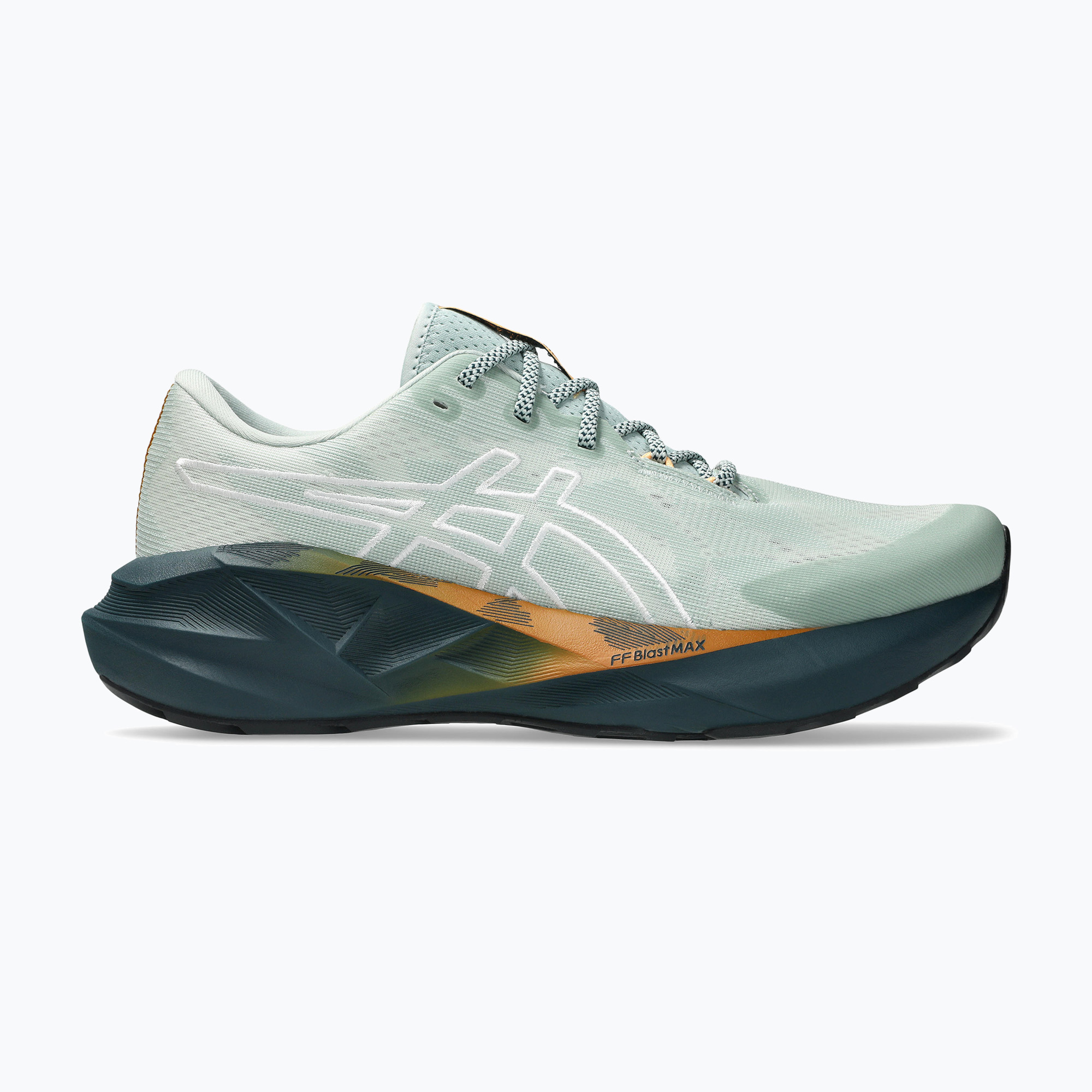 Buty do biegania męskie ASICS Novablast 5 TR nature bathing/lichen rock 