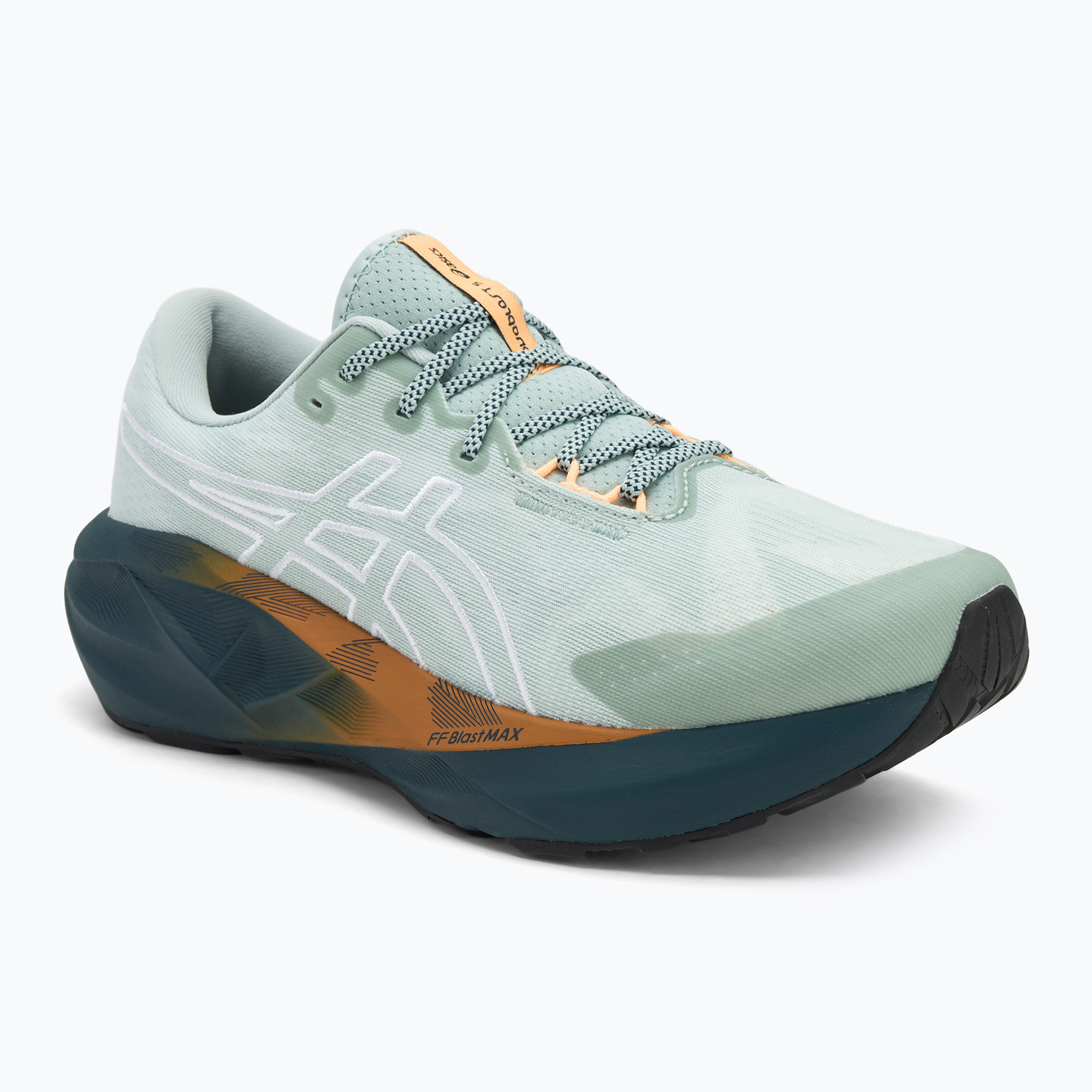 Buty do biegania męskie ASICS Novablast 5 TR nature bathing/lichen rock 