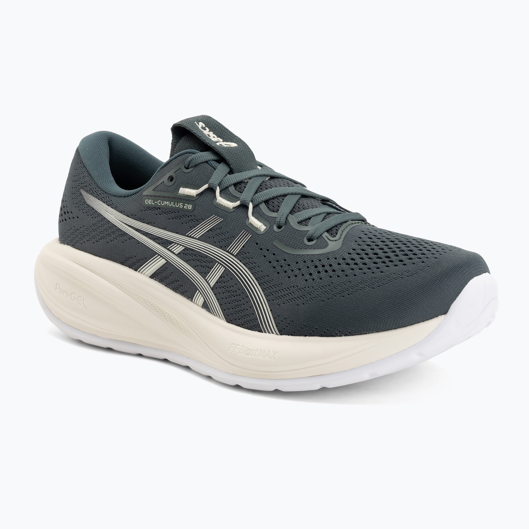 Buty do biegania męskie ASICS Gel-Cumulus 28 dusty fern/ivory