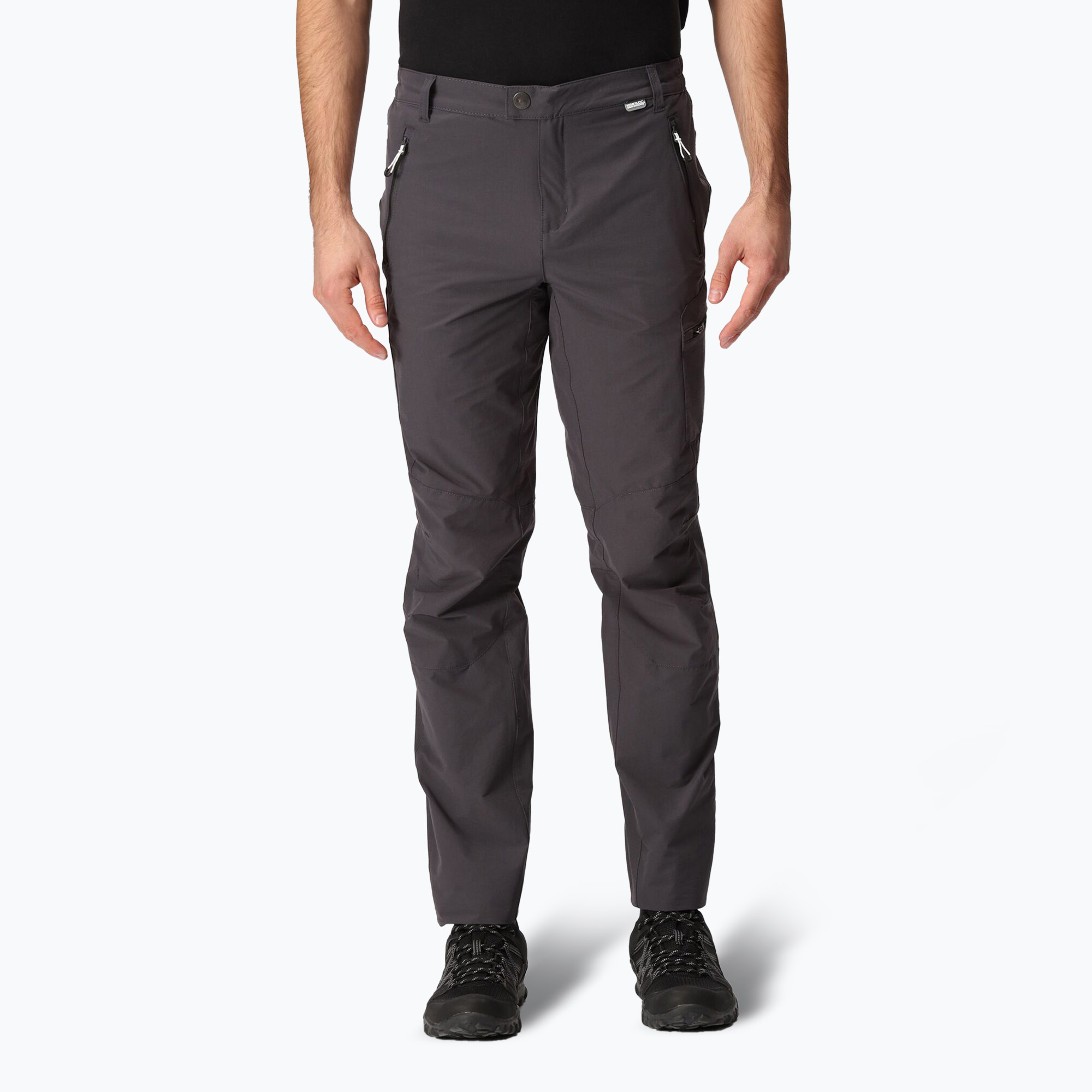 Spodnie trekkingowe męskie REGATTA Highton seal grey 