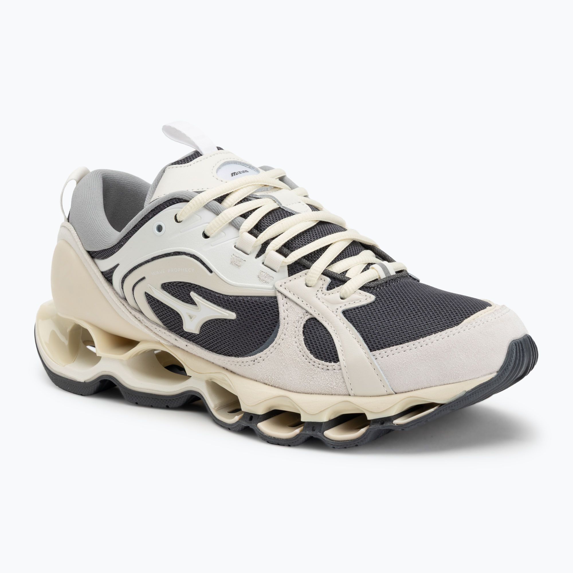 Buty Mizuno Wave Prophecy Βeta 2 dark shadow/white/snow white 