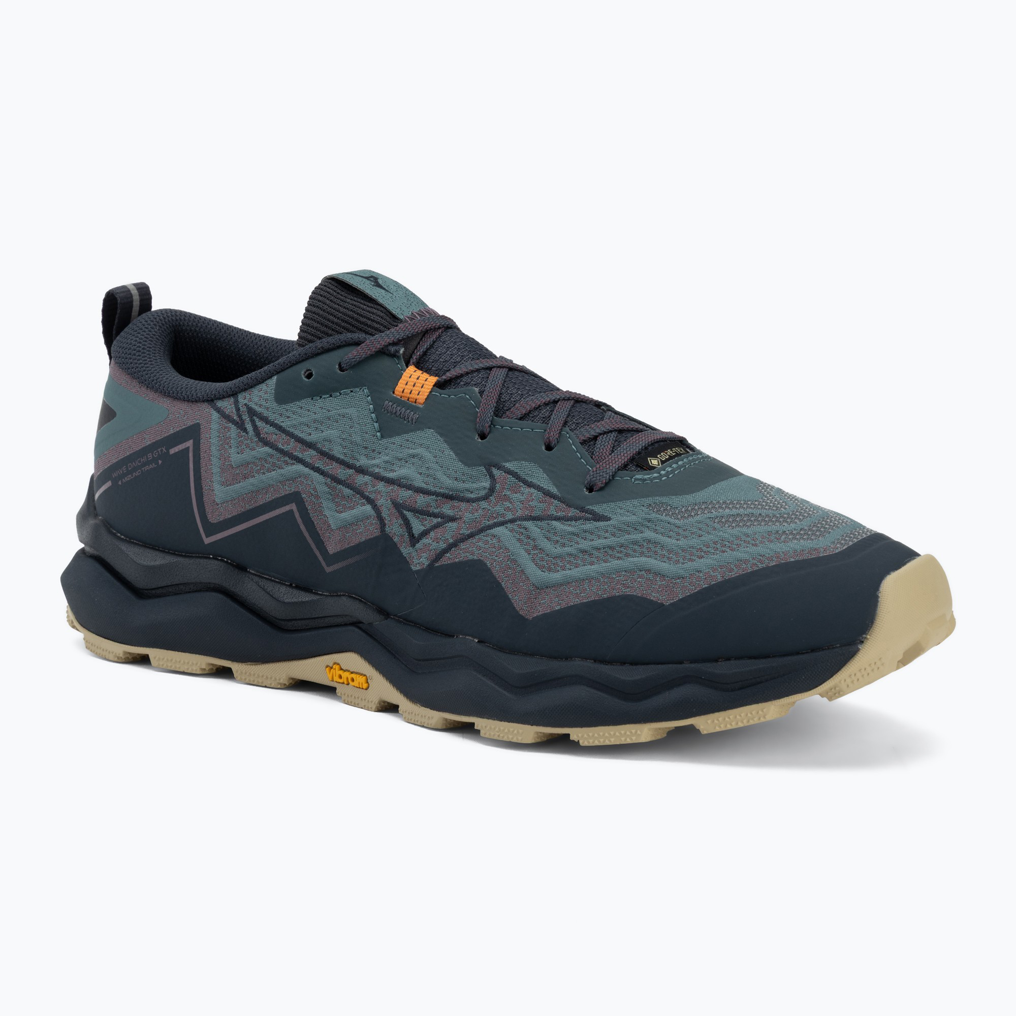 Мъжки обувки за бягане Mizuno Wave Daichi 9 GTX north atlantic/black/pale khaki