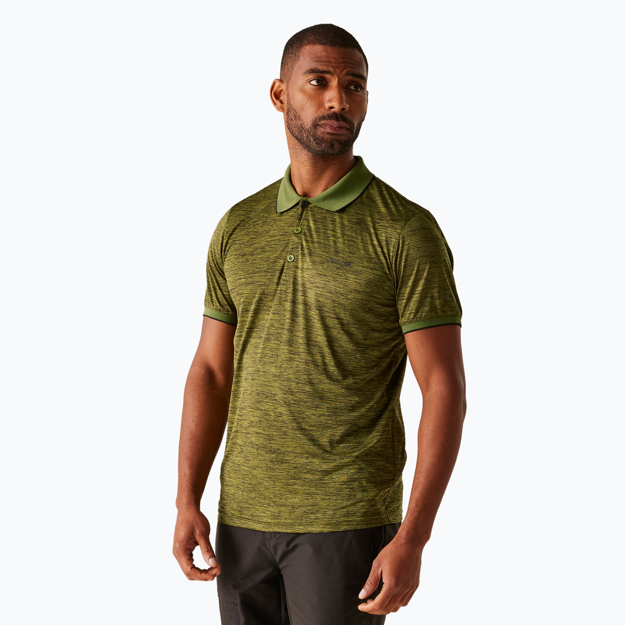 Koszulka trekkingowa męska REGATTA Polo Remex II nephrite green 