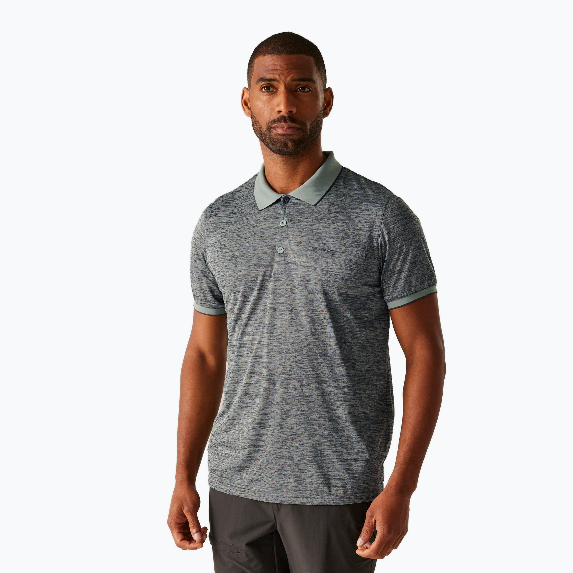 Men's trekking T-shirt REGATTA Polo Remex II glacier (M)