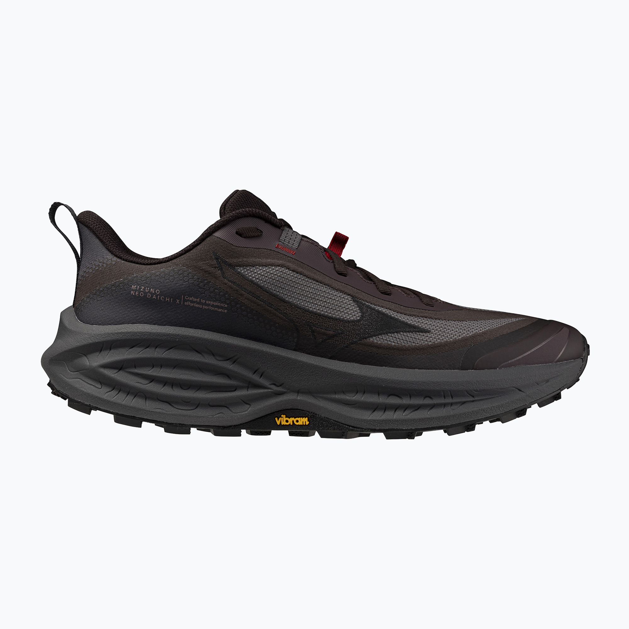 Мъжки обувки за бягане  Mizuno Neo Daichi 10 raisin/phantom/blackened pearl