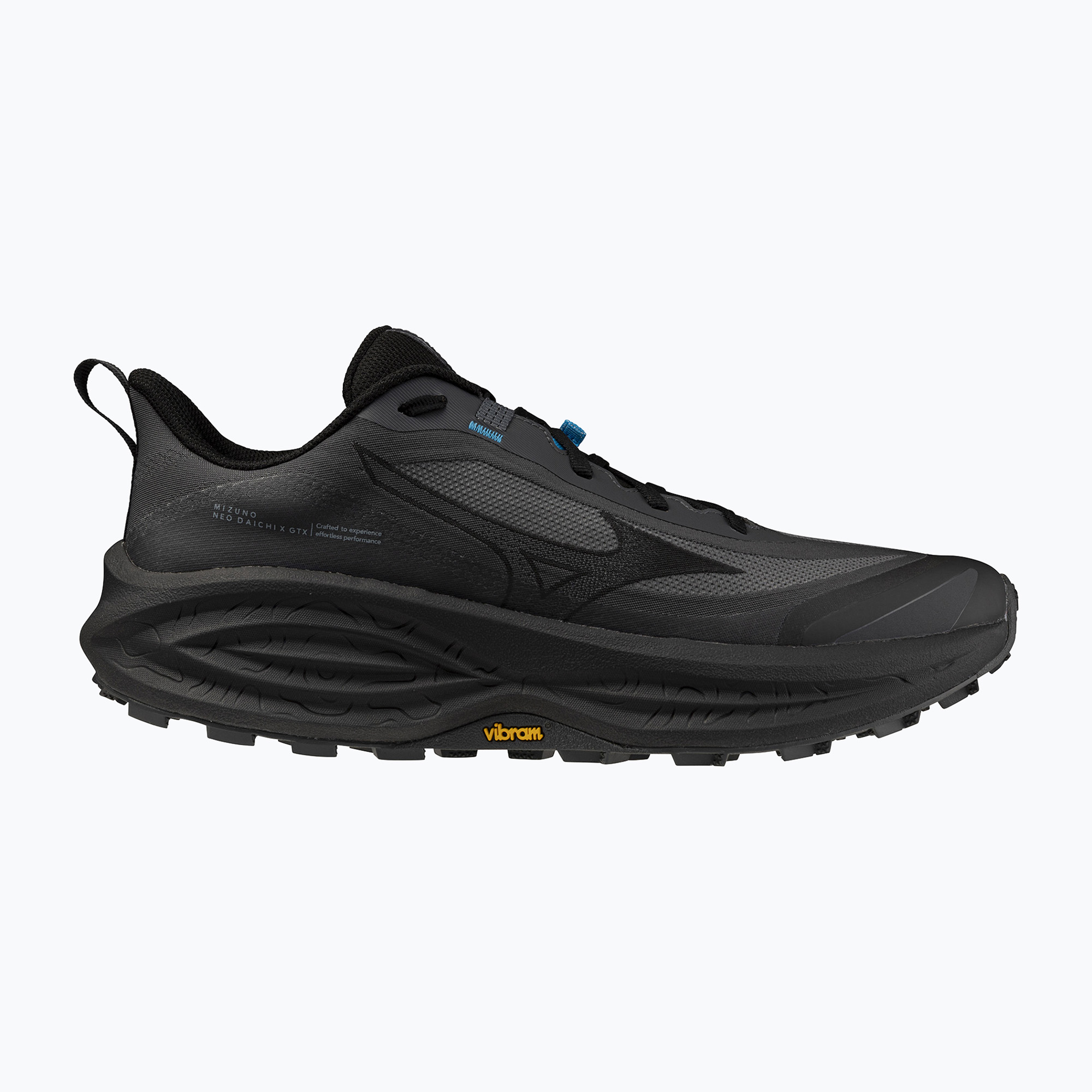 Мъжки обувки за бягане  Mizuno Neo Daichi 10 Gtx black oyster/black/blue jewel