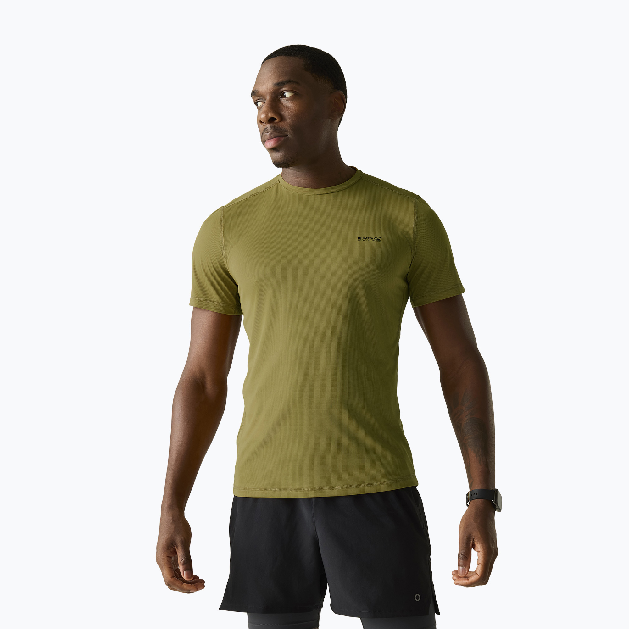 Koszulka męska REGATTA Mindoi Anti Insect wood brown 