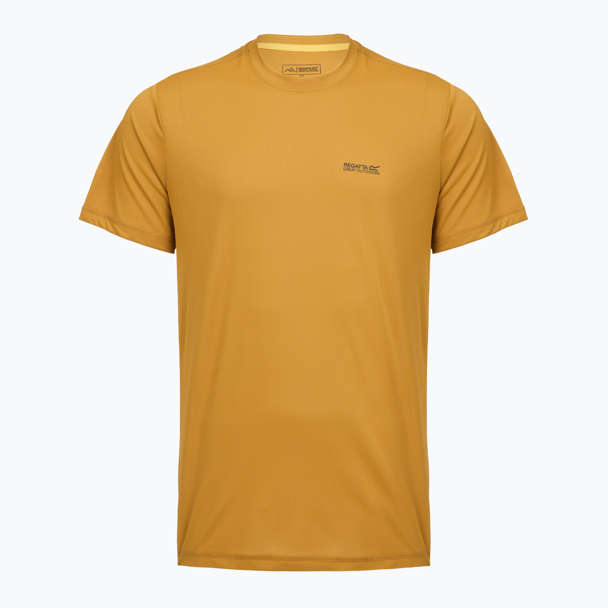 Koszulka trekkingowa  męska REGATTA Mindoi Anti Insect wood brown 