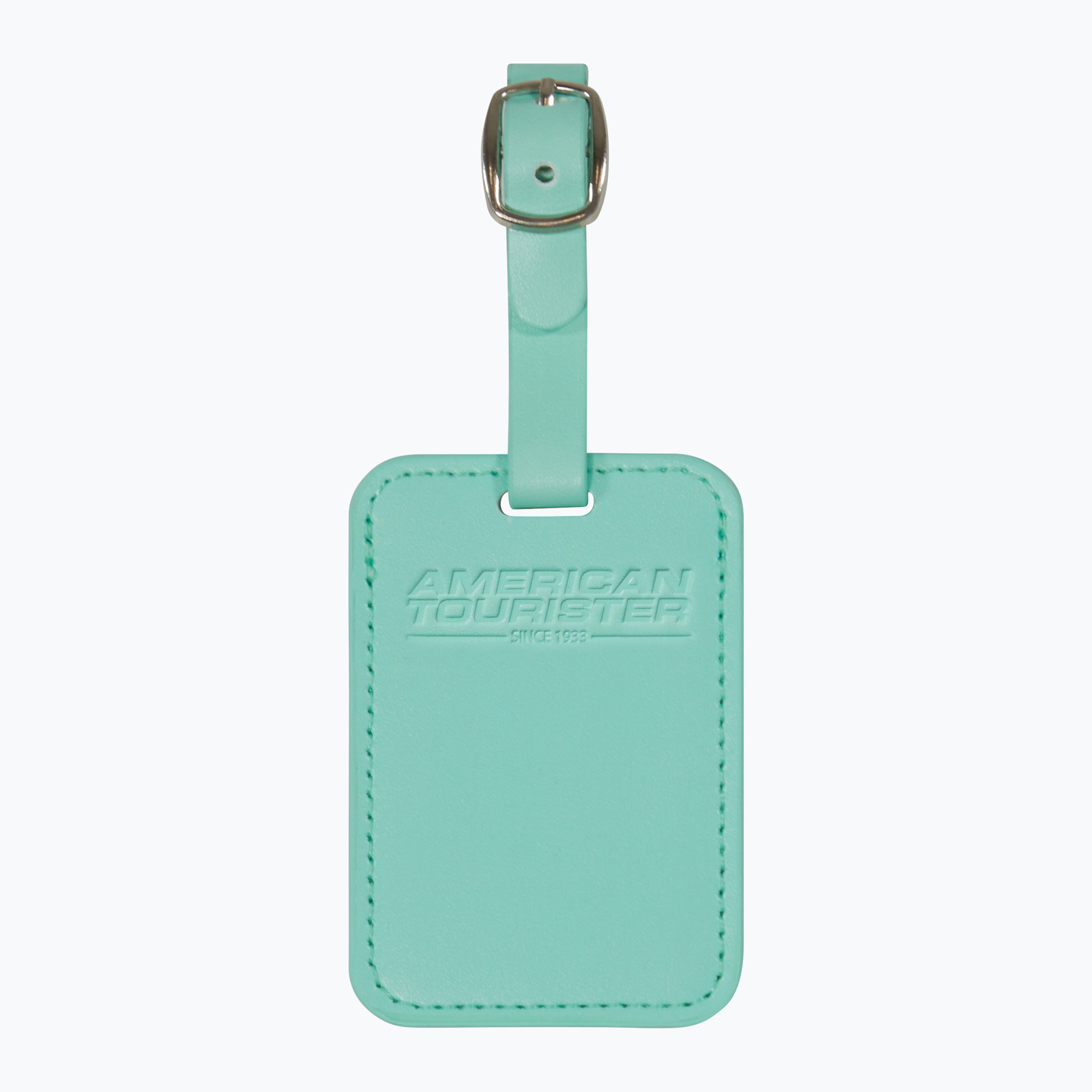 Menovka na batožinu American Tourister Luggage Tag 2 pcs. jelly mint