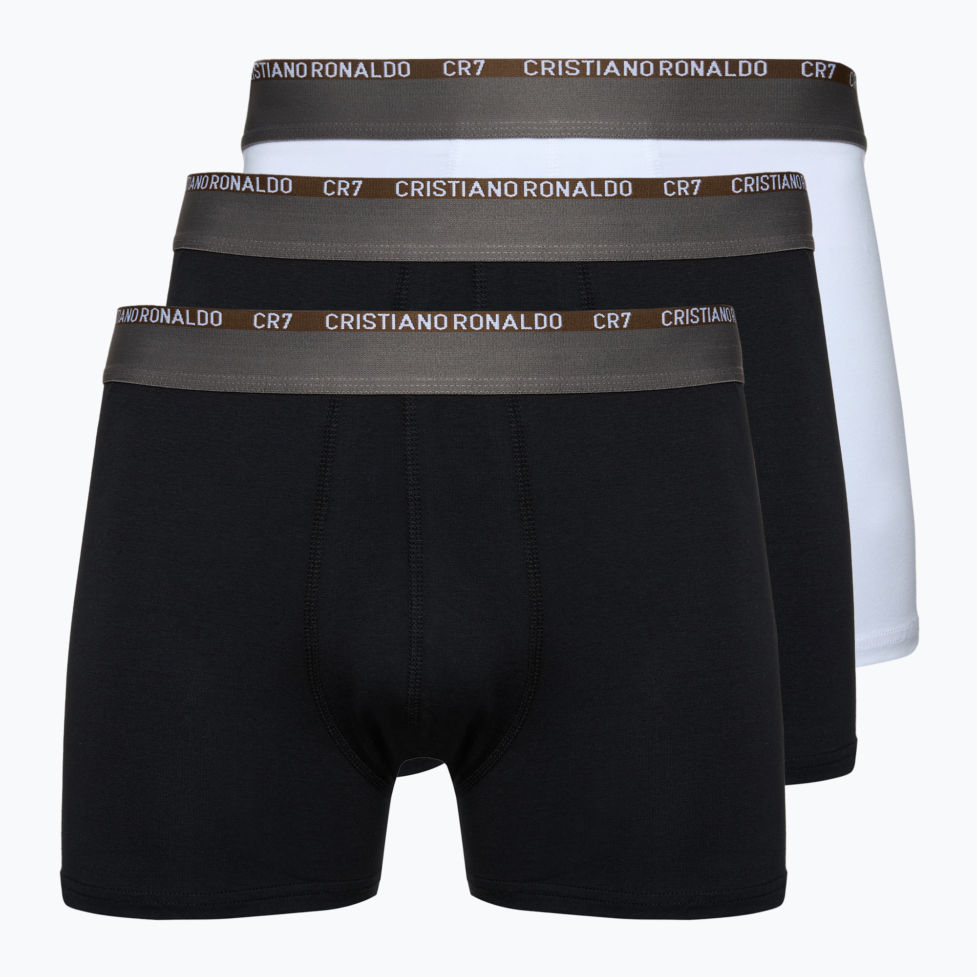 Pánske boxerky CR7 Basic Trunk 3 páry viacfarebné (Basic Trunk 300-8100-4900-705)