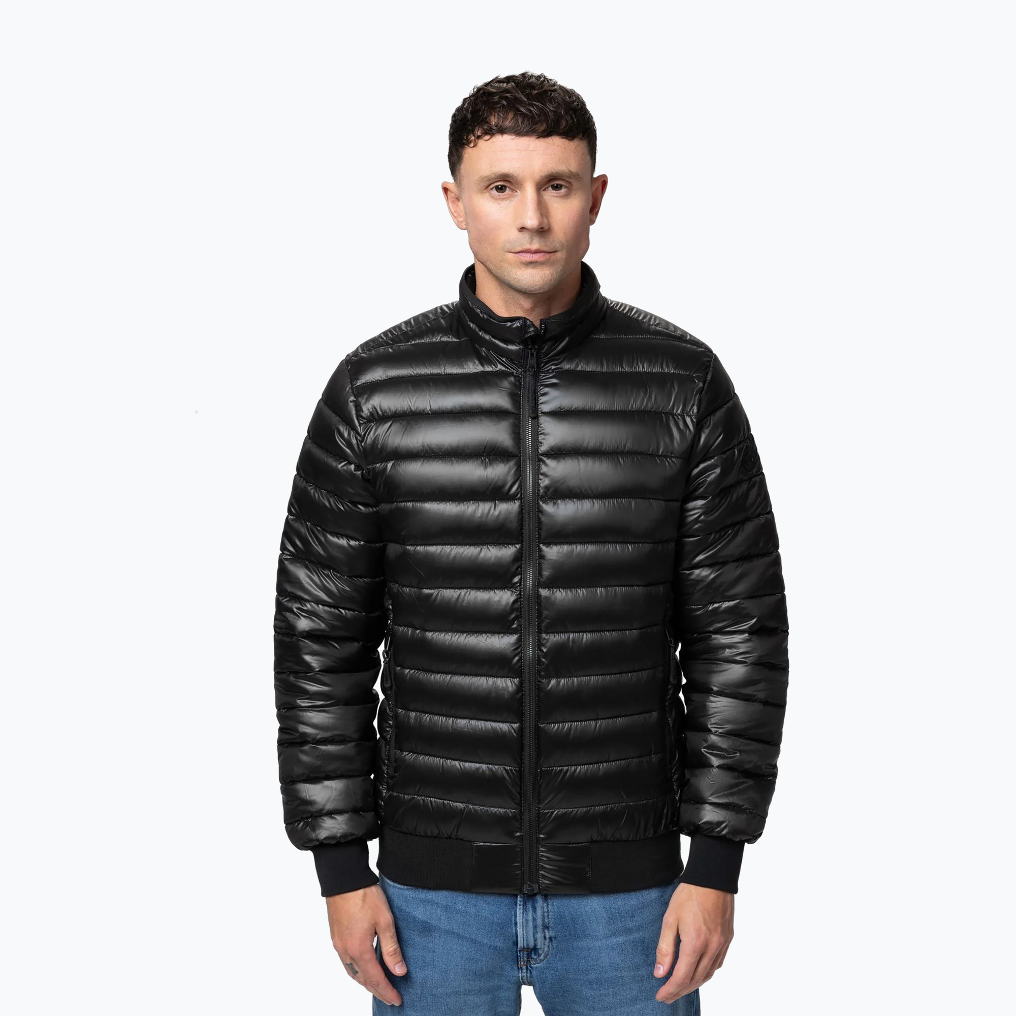 Kurtka męska Pitbull Harper Padded black 