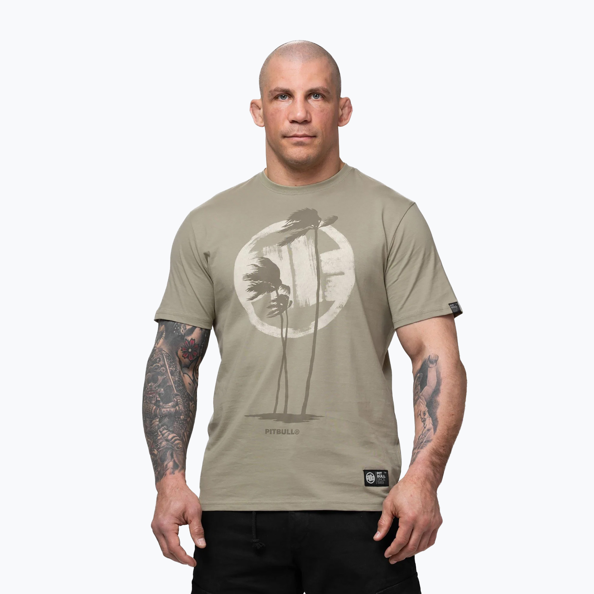Tricou pentru bărbați Pitbull Palms light grey harbour