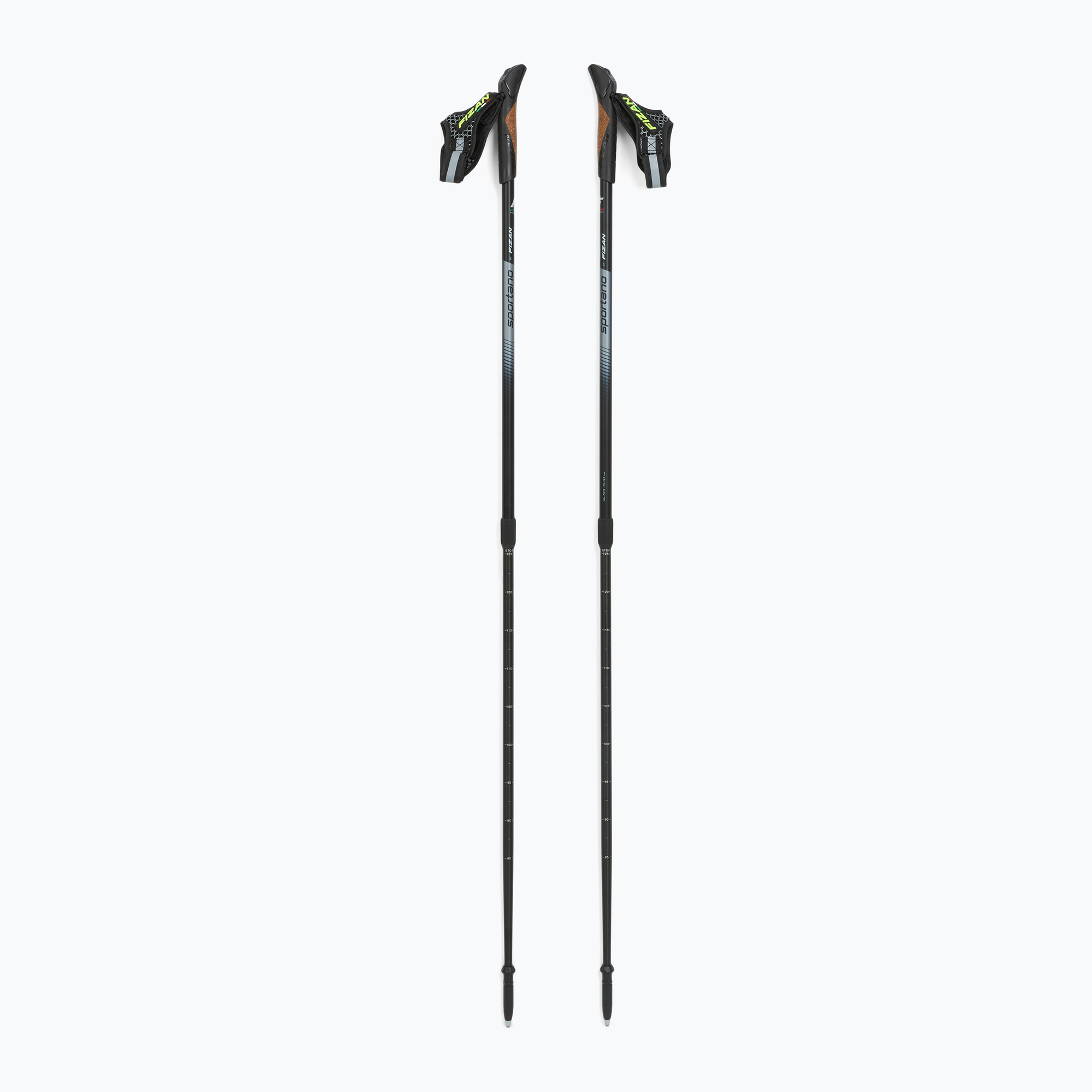 Palice na nordic walking Fizan Speed black