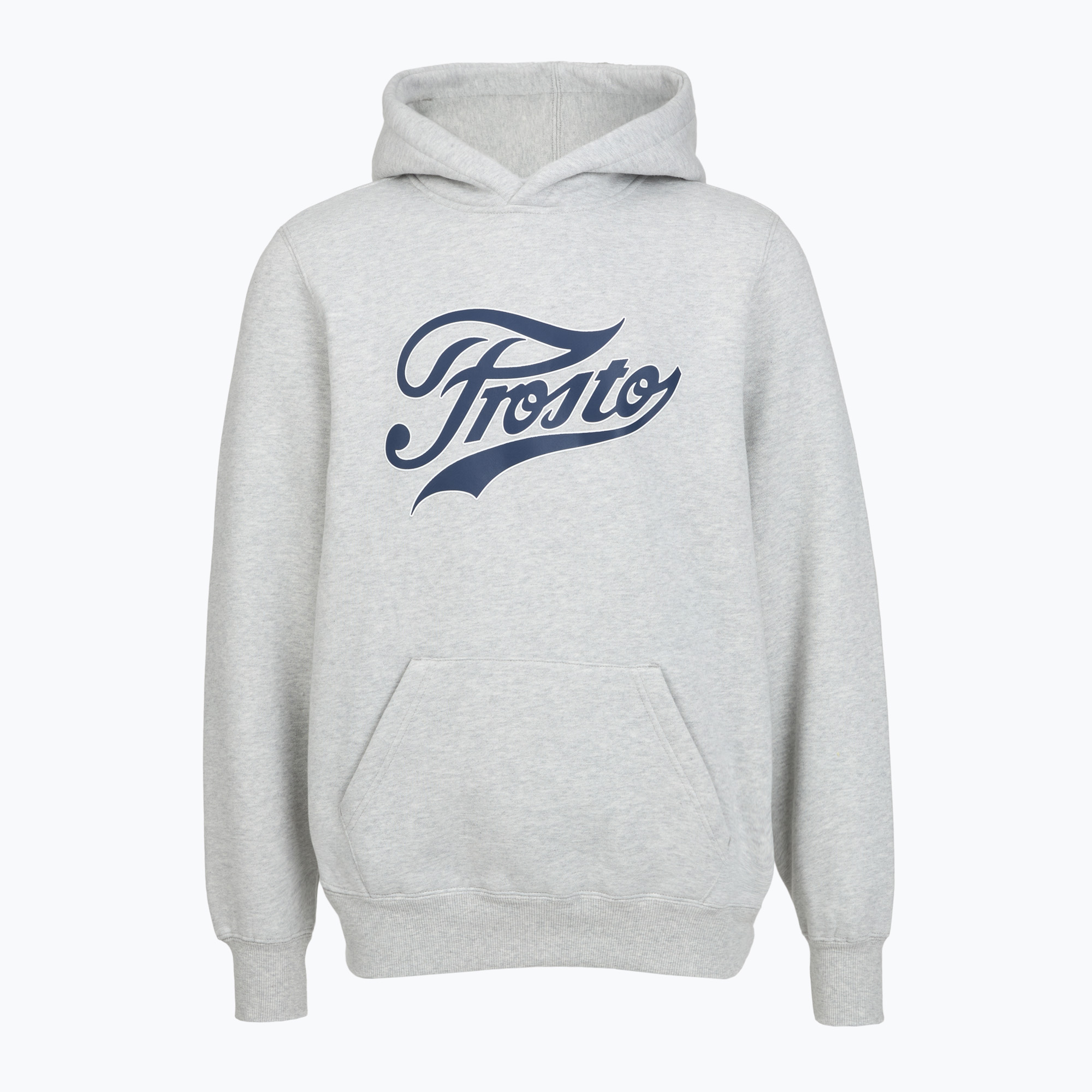 Bluza męska PROSTO Hoodie Aiz gray