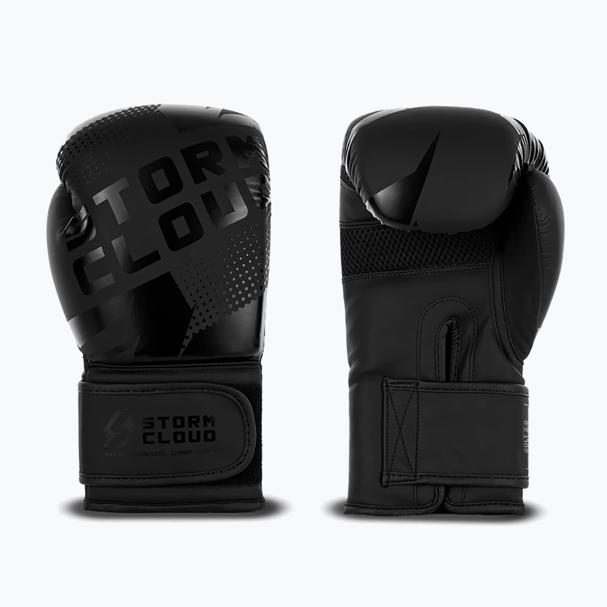 Mănuși de box StormCloud Bolt 3.0 black/black