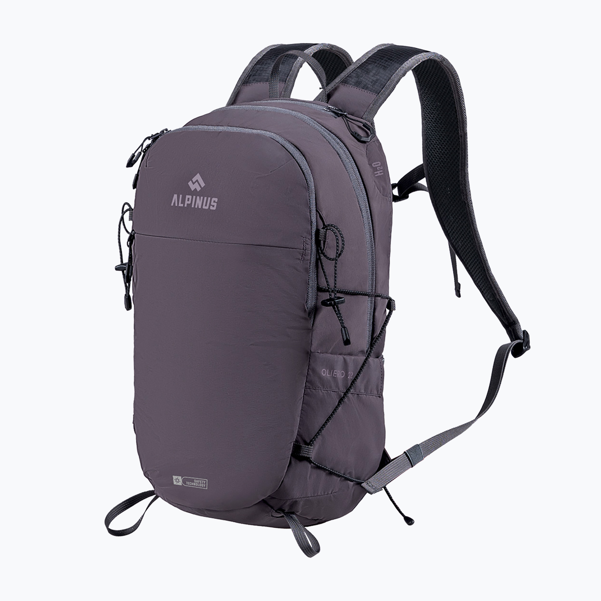 Rucsac de turism Alpinus Oliero 22 l gray