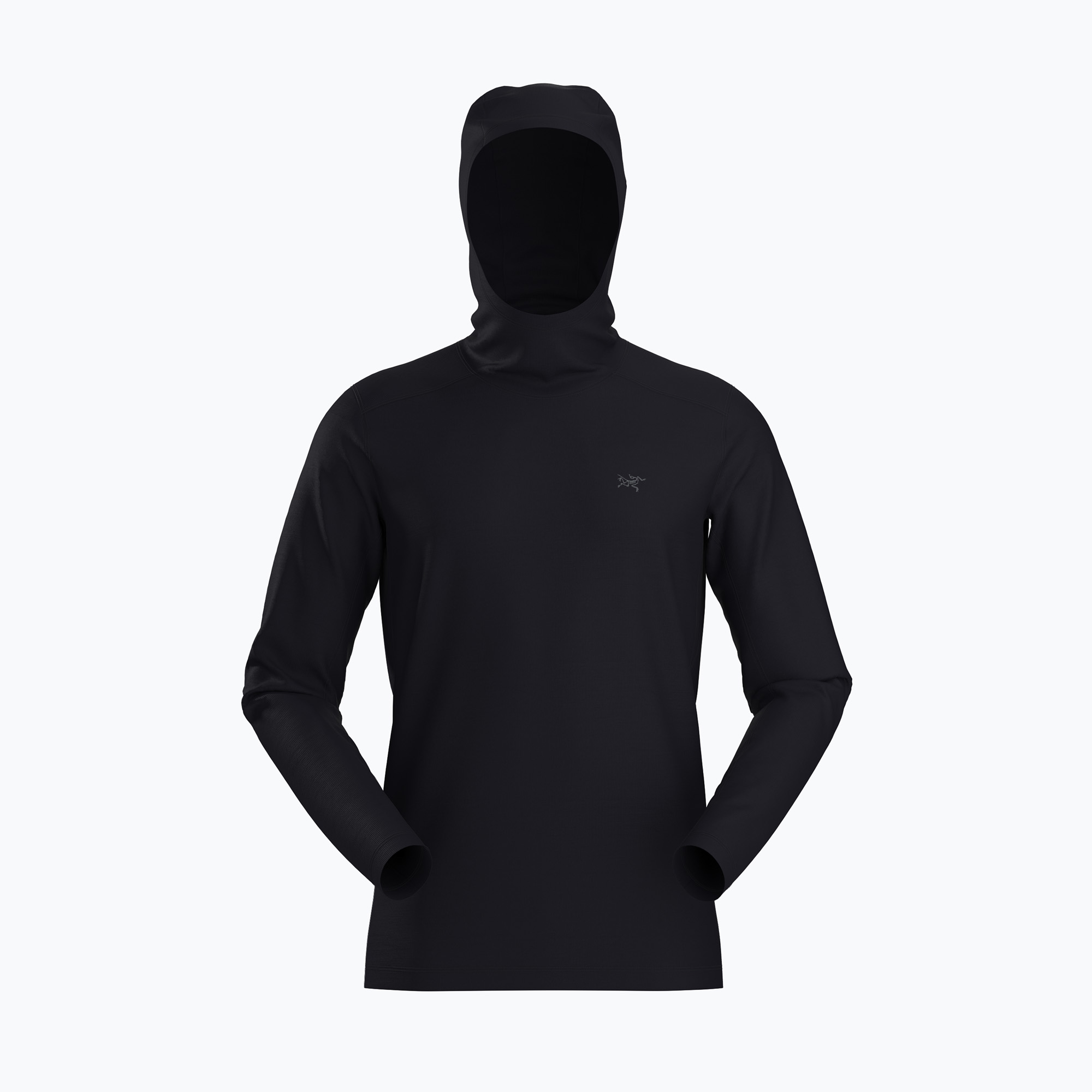 Bluza trekkingowa męska Arc'teryx Ionoa Merino Wool Hoody black 