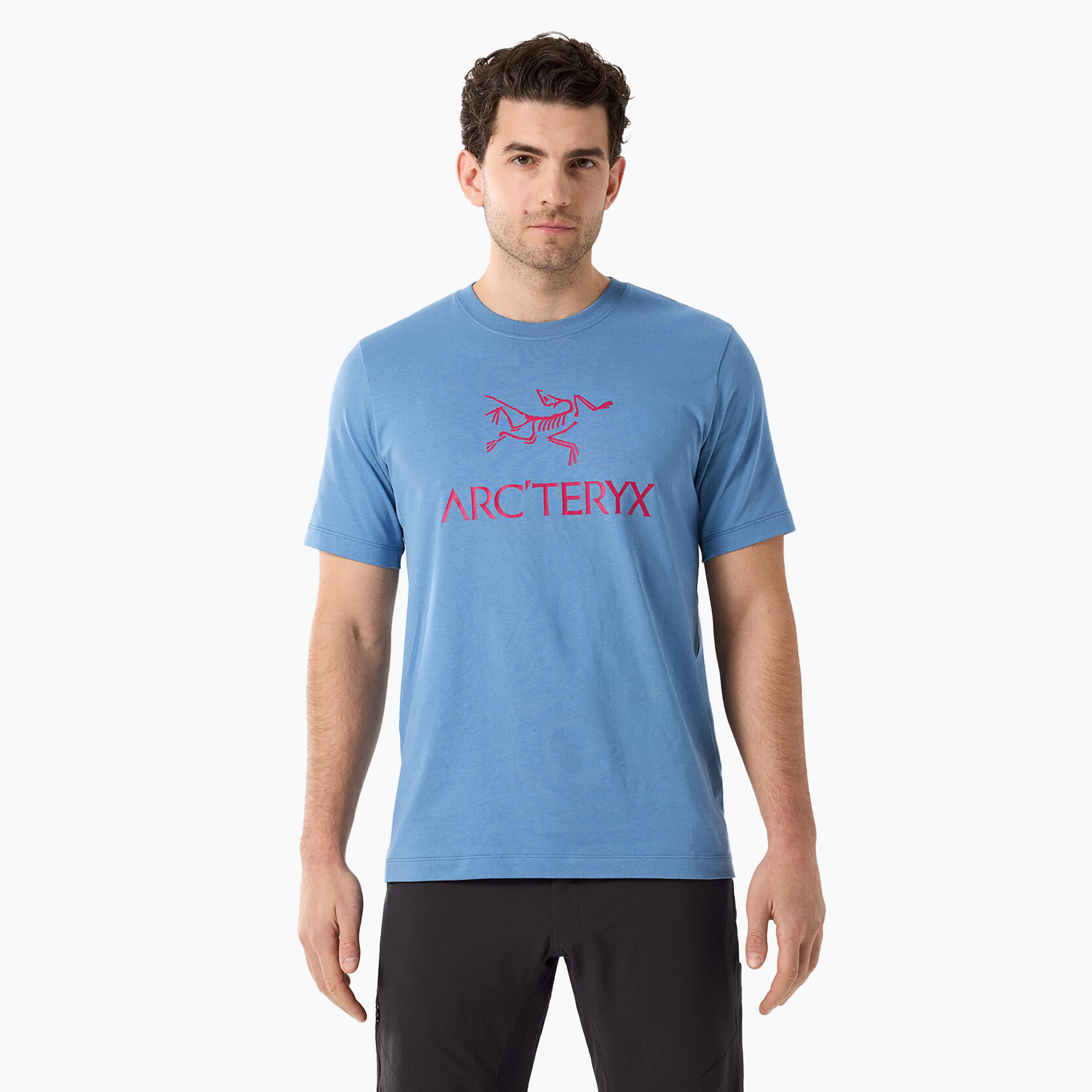 Koszulka męska Arc'teryx Arc'Word Logo stone wash 