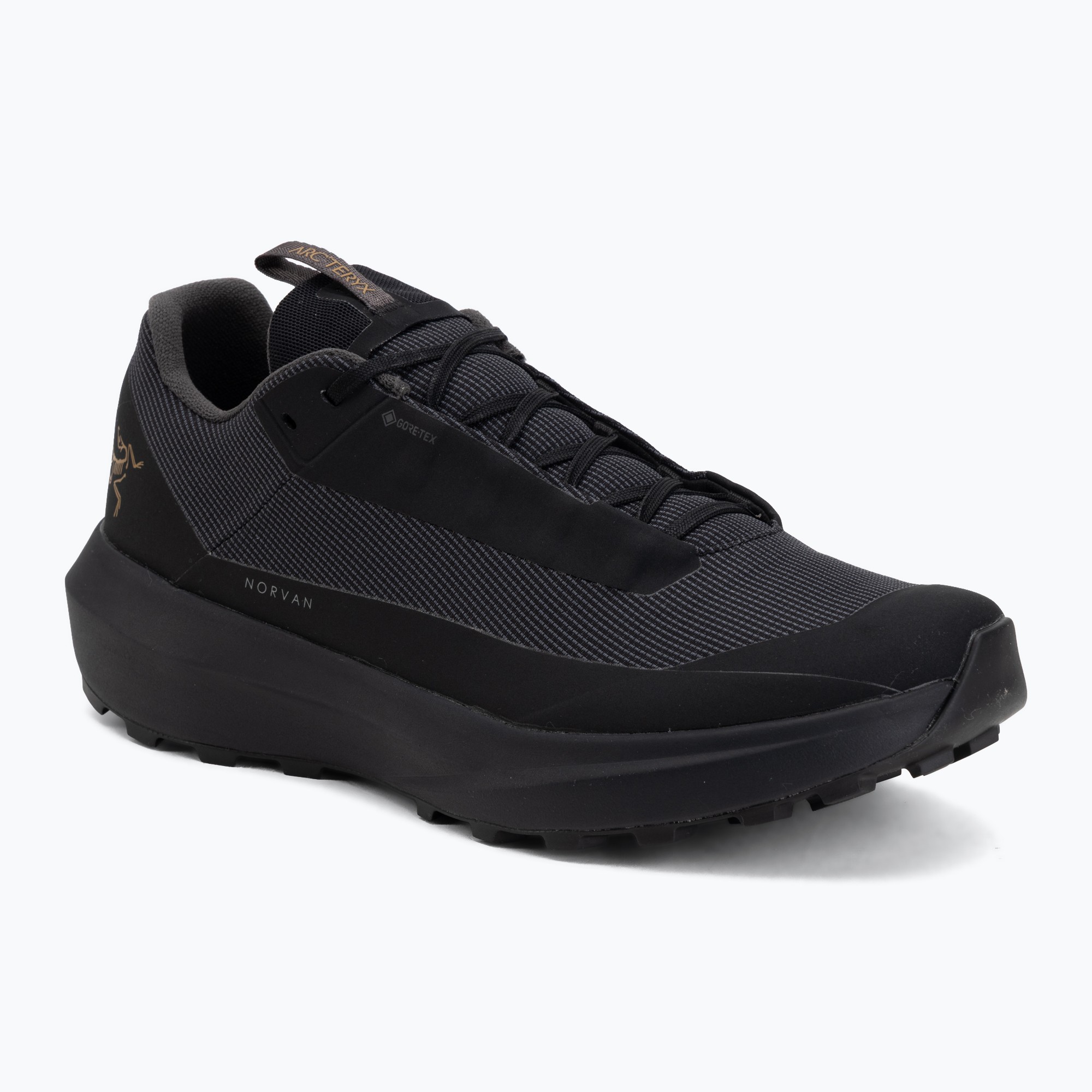 Buty do biegania męskie Arcteryx Norvan LD 4 GTX black/black