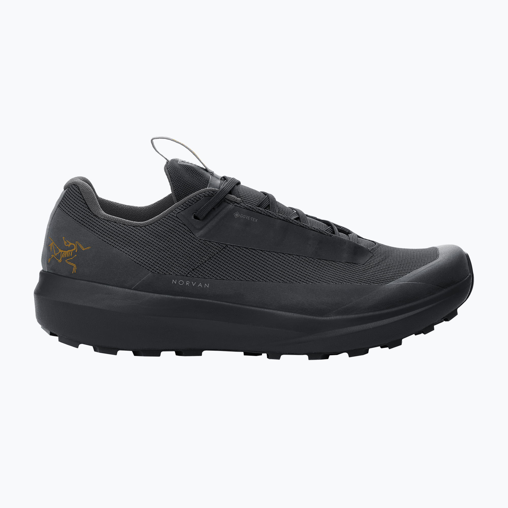Мъжки обувки за бягане Arc'teryx Norvan LD 4 GTX black/black