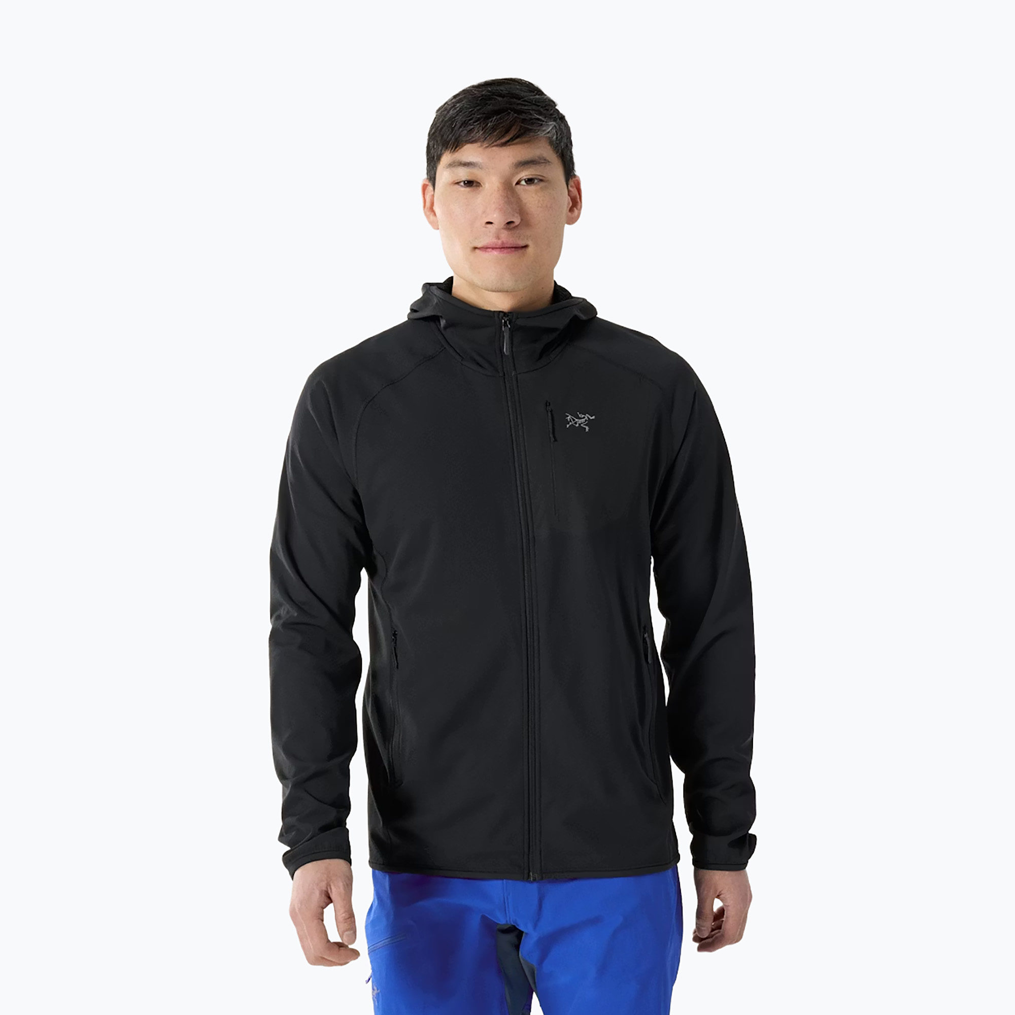 Мъжки поларен суитшърт Arc'Teryx Delta Hoody black sapphire