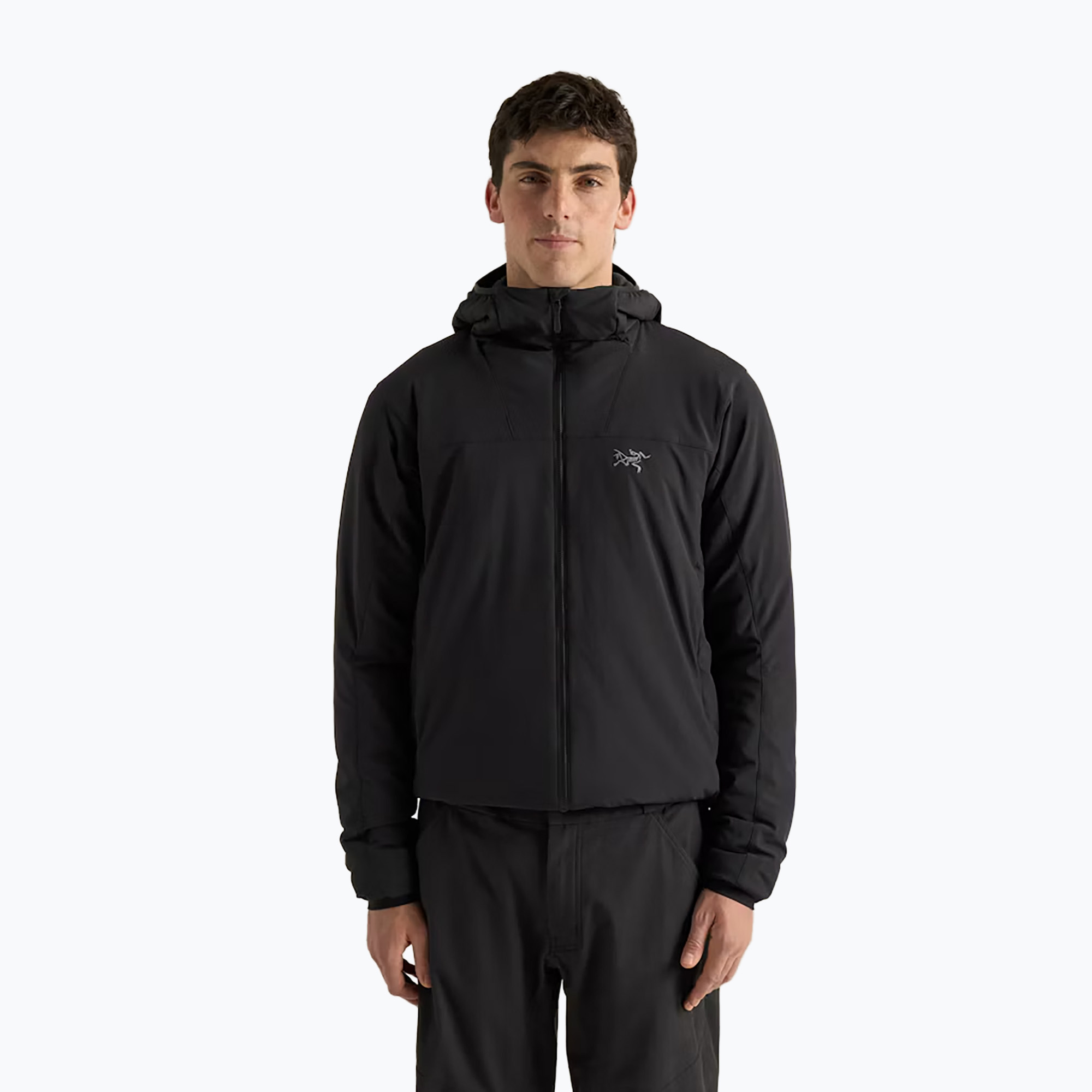 Мъжко ватирано яке Arcteryx Beta Insulated black