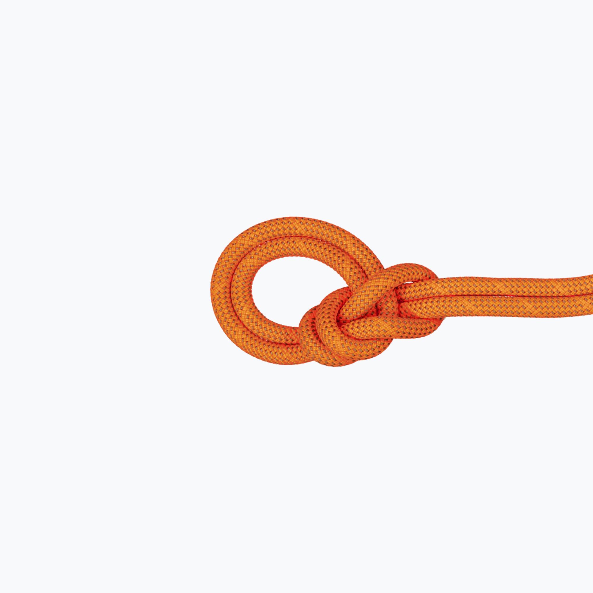 Lina wspinaczkowa Mammut 9.8 Crag Dry safety orange/boa 