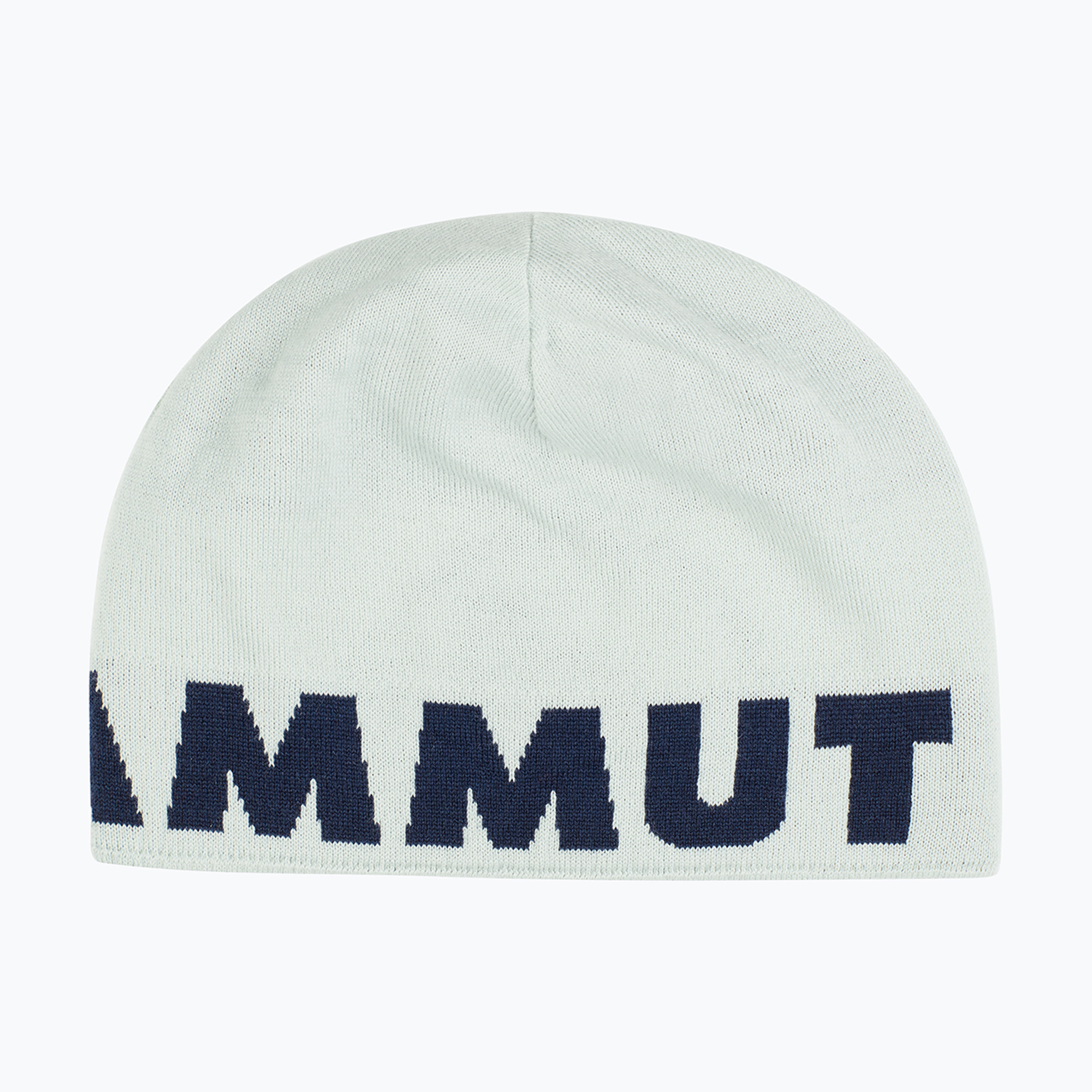 Czapka zimowa Mammut Logo silver sage/marine 