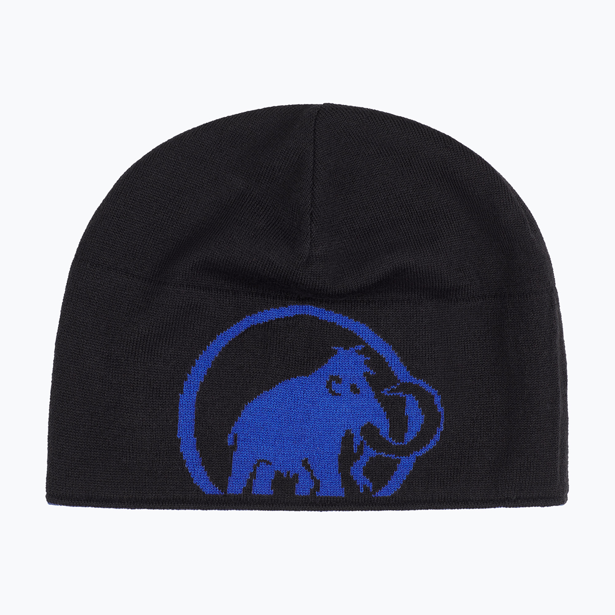Czapka zimowa Mammut Logo eiger blue/black 