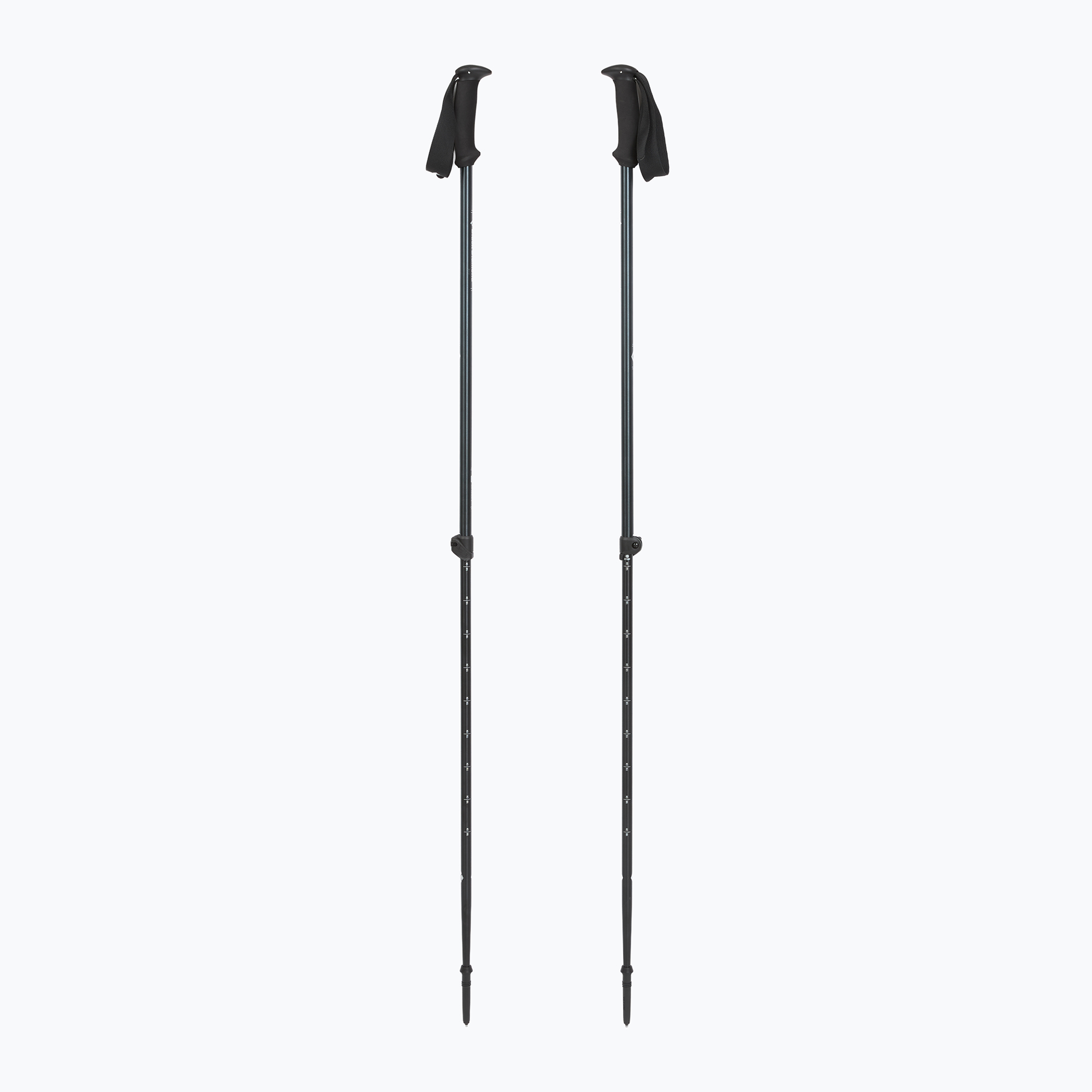 Bețe de trekking  Black Diamond Explorer 2 Trekking ink blue