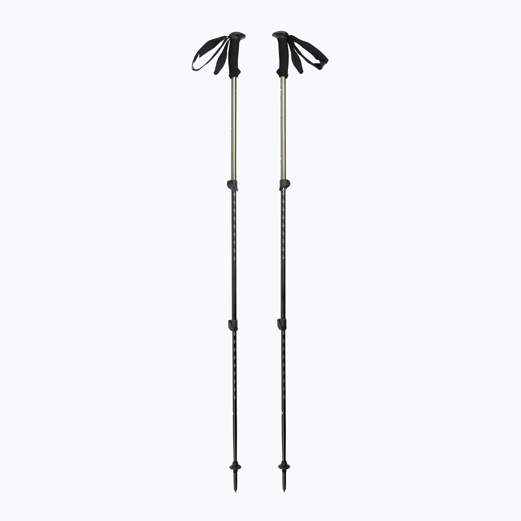 Kije trekkingowe Black Diamond Explorer 3 tundra 