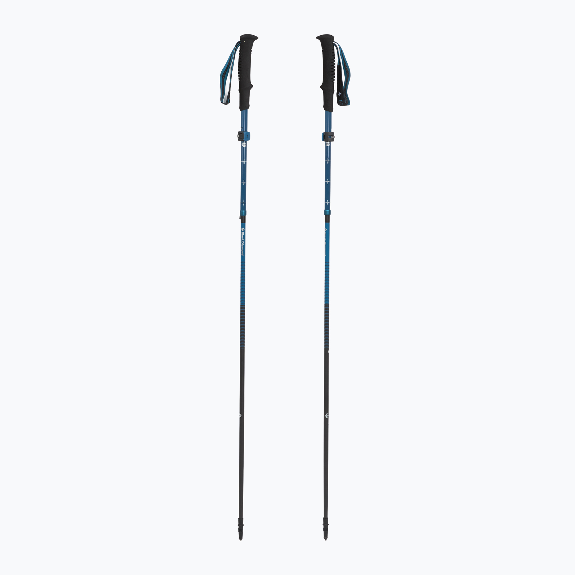 Kije trekkingowe Black Diamond Distance Carbon Flz desert sky