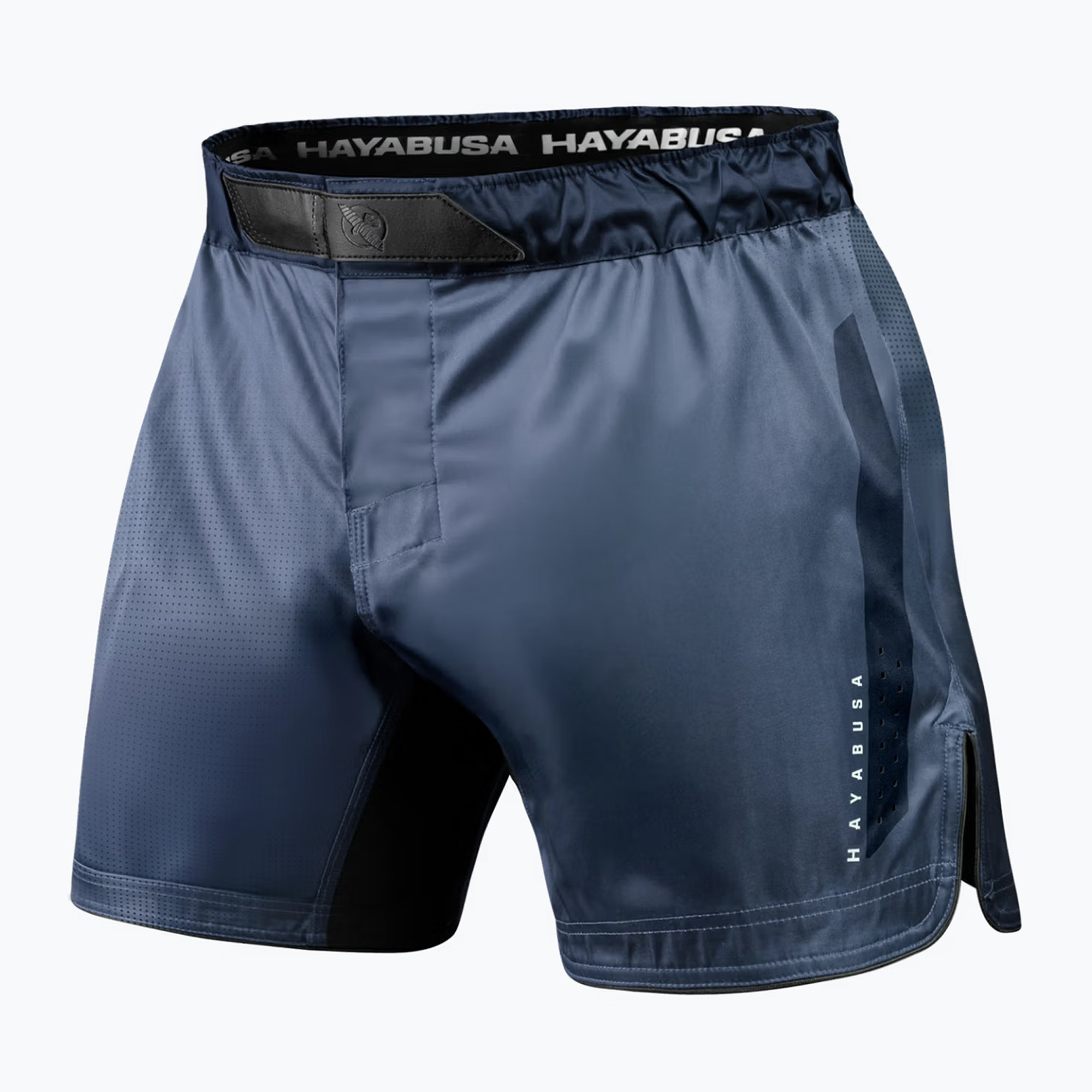 Мъжки тренировъчни шорти Hayabusa Core Fight blue