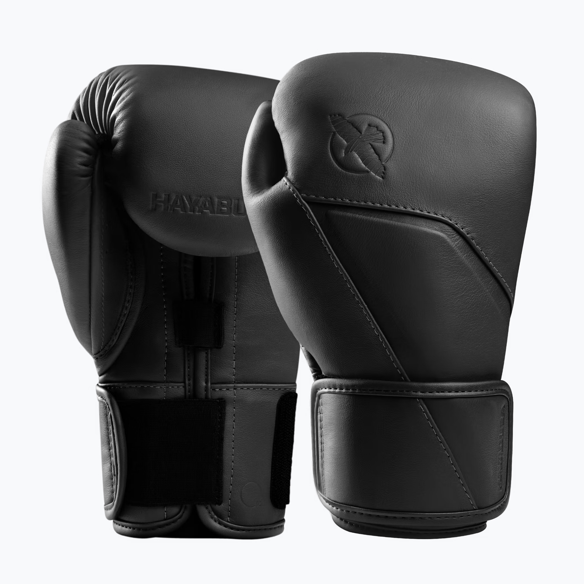Boxerské rukavice Hayabusa E1 Leather black