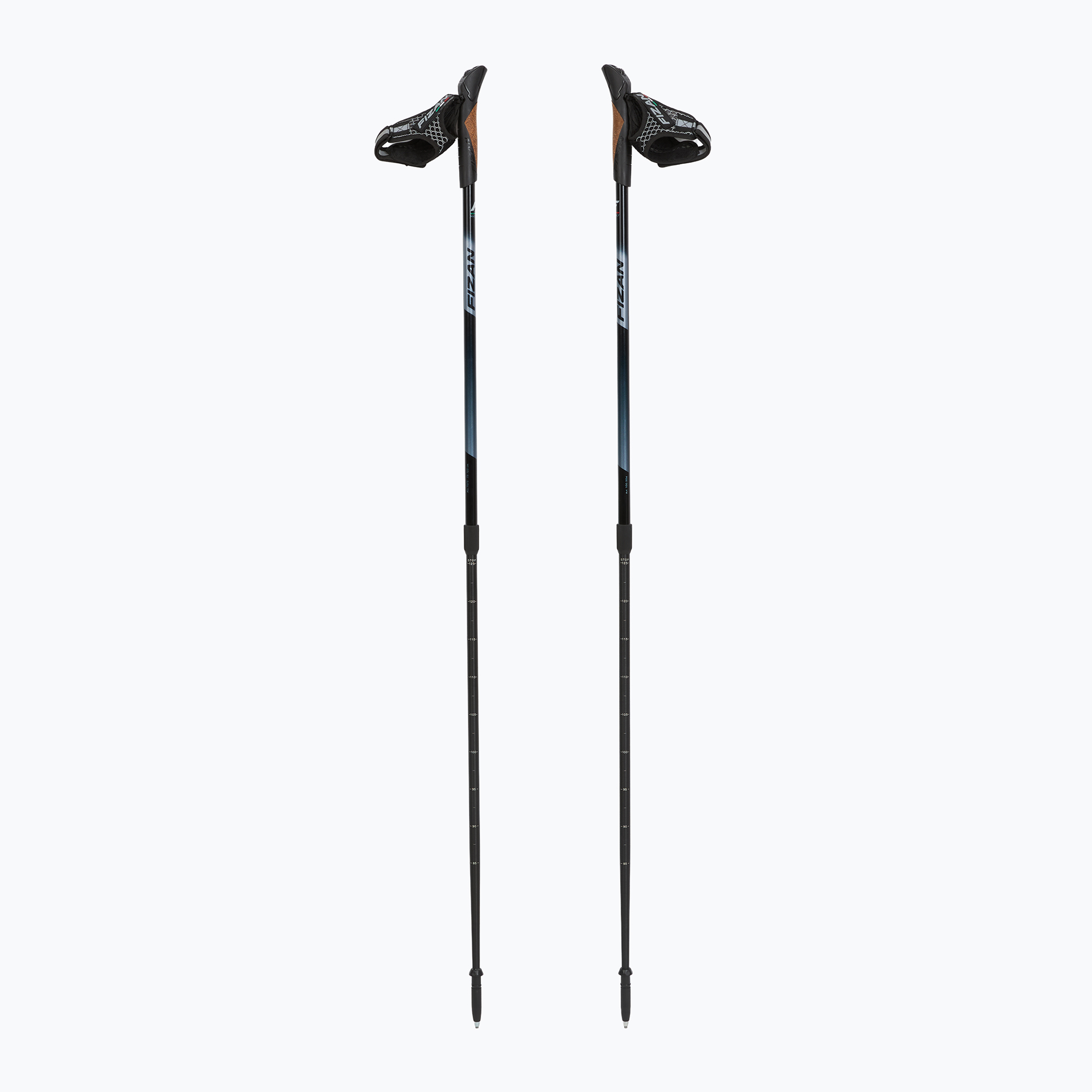 Palice na nordic walking Fizan Speed black