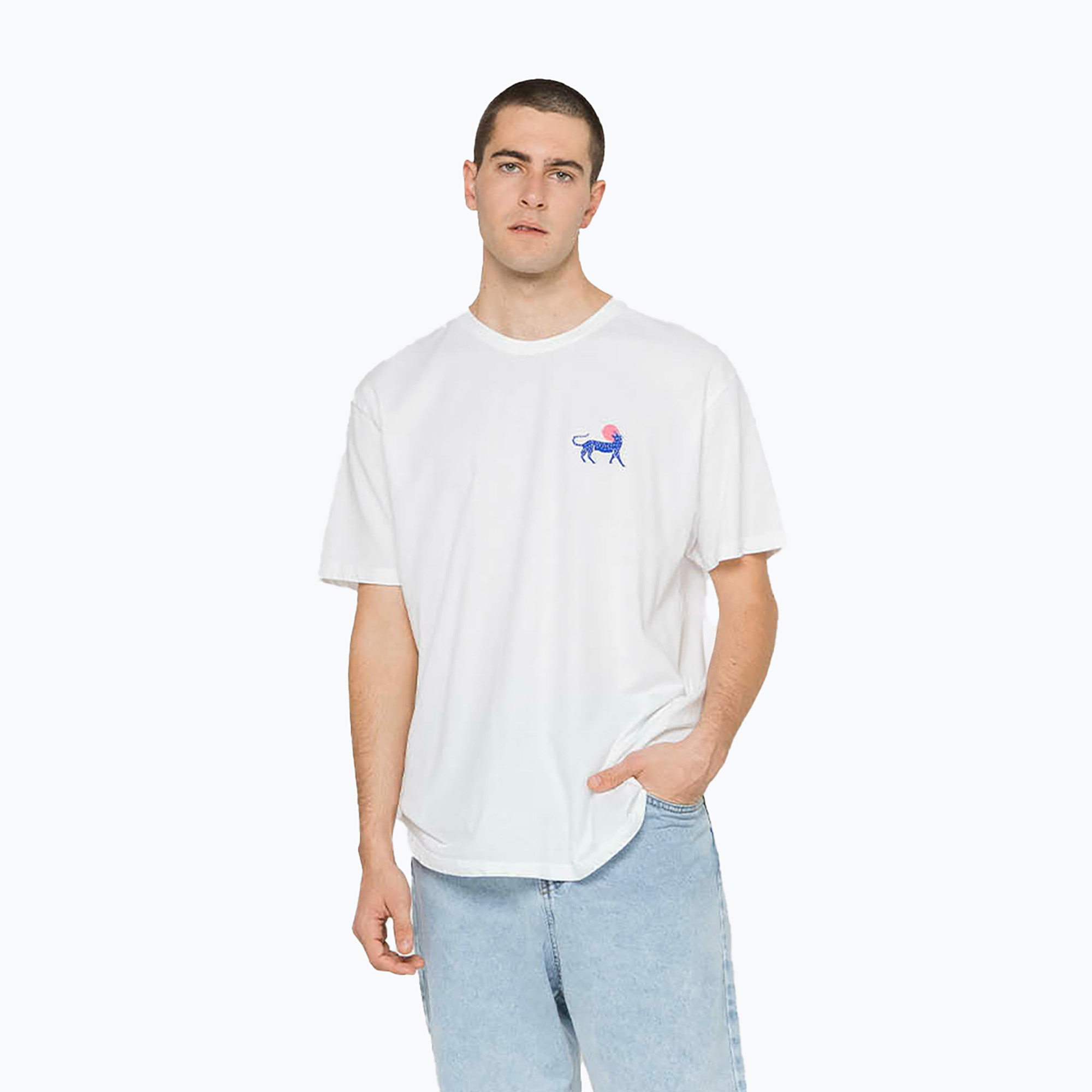 Koszulka męska Kaotiko Washed Elements Occult white 