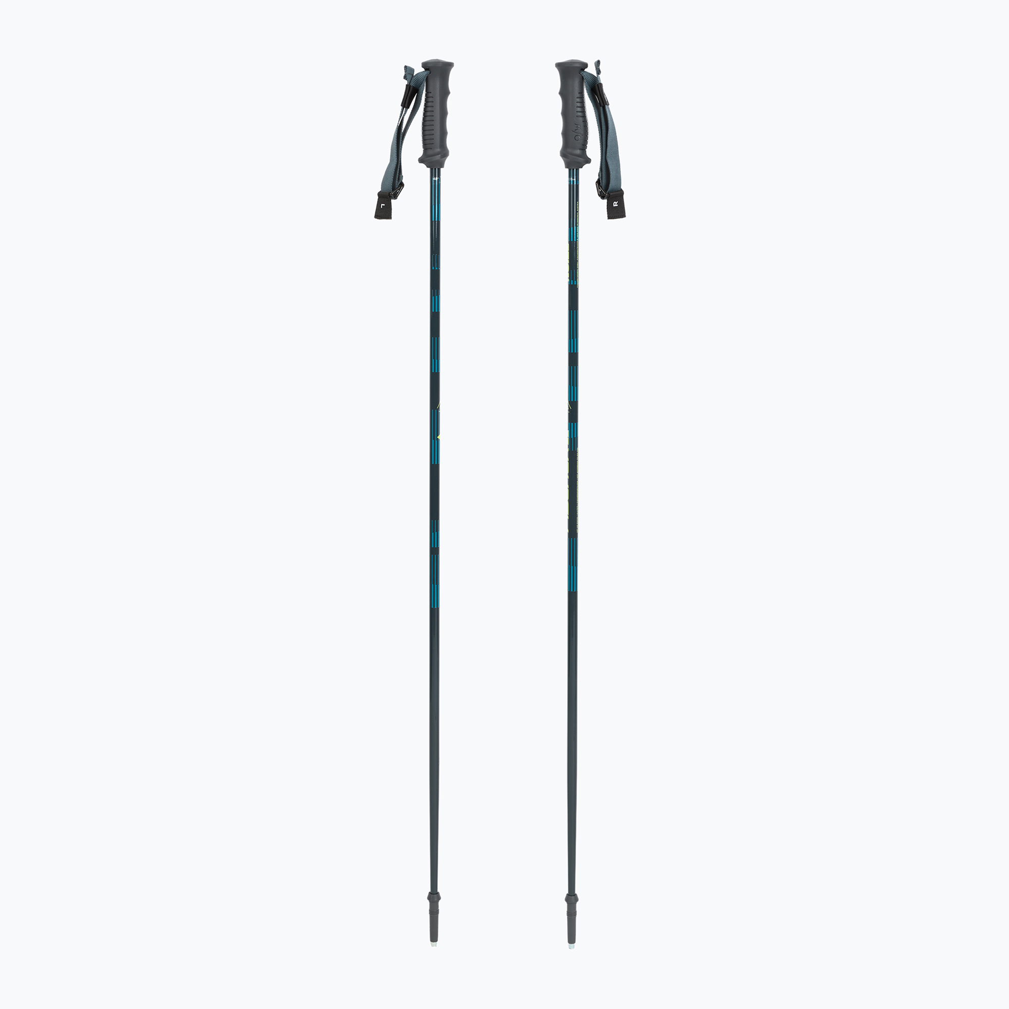Skistöcke Fischer RC4 Noize grey / blue
